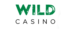 wild casino logo